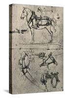 'A Harnessed Cart-Horse and Studies of Harness', c1480 (1945)-Leonardo Da Vinci-Stretched Canvas