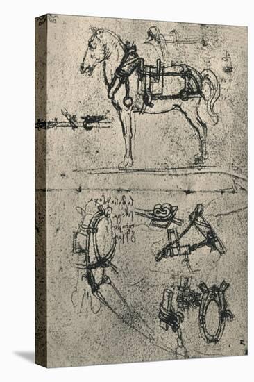 'A Harnessed Cart-Horse and Studies of Harness', c1480 (1945)-Leonardo Da Vinci-Stretched Canvas