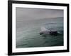 A Haviside's Dolphin, Cephalorhynchus Heavisidii, Comes Up for Air in the Atlantic Ocean-Alex Saberi-Framed Photographic Print