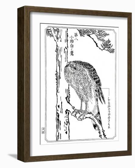 A Hawk, 1898-Kawanabe Kyosai-Framed Giclee Print