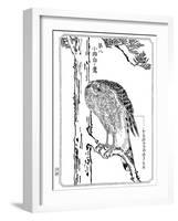 A Hawk, 1898-Kawanabe Kyosai-Framed Giclee Print