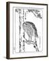 A Hawk, 1898-Kawanabe Kyosai-Framed Giclee Print