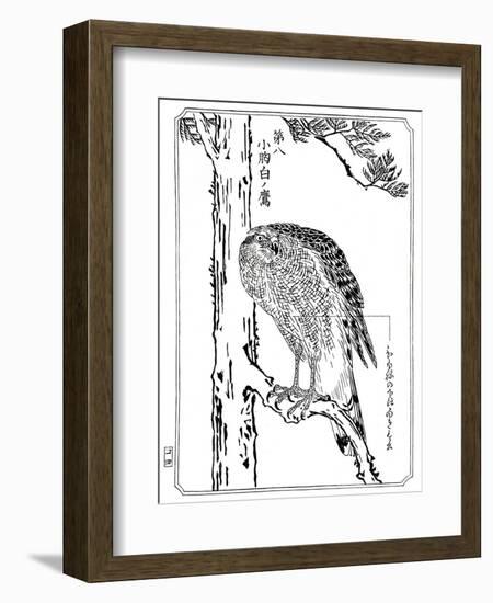 A Hawk, 1898-Kawanabe Kyosai-Framed Giclee Print