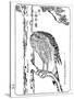 A Hawk, 1898-Kawanabe Kyosai-Stretched Canvas