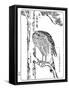 A Hawk, 1898-Kawanabe Kyosai-Framed Stretched Canvas