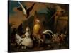 A Hawk attacking Poultry in a Farmyard-Pieter Casteels-Stretched Canvas