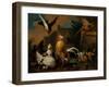 A Hawk attacking Poultry in a Farmyard-Pieter Casteels-Framed Giclee Print