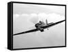 A Hawker Hurricane Aircraft in Flight-Stocktrek Images-Framed Stretched Canvas