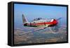 A Hawker Sea Fury T.Mk.20 Dreadnought Aircraft in Flight-null-Framed Stretched Canvas