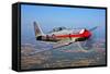 A Hawker Sea Fury T.Mk.20 Dreadnought Aircraft in Flight-null-Framed Stretched Canvas