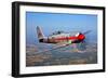 A Hawker Sea Fury T.Mk.20 Dreadnought Aircraft in Flight-null-Framed Photographic Print