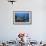 A Hawksbill Sea Turtle Swims over a Coral Reef in Palau-Stocktrek Images-Framed Photographic Print displayed on a wall