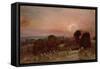 A Hayfield Near East Bergholt at Sunset-John Constable-Framed Stretched Canvas