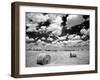 A Hayfield with Summer Clouds-Rip Smith-Framed Photographic Print