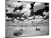 A Hayfield with Summer Clouds-Rip Smith-Mounted Photographic Print