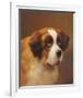 A Head of a Saint Bernard-P Magee-Framed Giclee Print