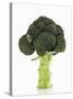 A Head of Broccoli-Dieter Heinemann-Stretched Canvas