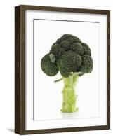 A Head of Broccoli-Dieter Heinemann-Framed Photographic Print