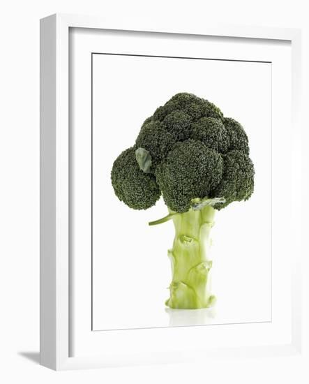 A Head of Broccoli-Dieter Heinemann-Framed Photographic Print