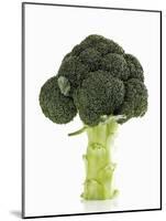 A Head of Broccoli-Dieter Heinemann-Mounted Photographic Print