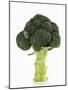 A Head of Broccoli-Dieter Heinemann-Mounted Photographic Print