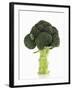 A Head of Broccoli-Dieter Heinemann-Framed Photographic Print