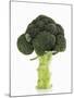 A Head of Broccoli-Dieter Heinemann-Mounted Photographic Print