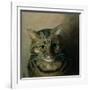 A Head Study of a Tabby Cat-Louis Wain-Framed Giclee Print