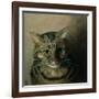 A Head Study of a Tabby Cat-Louis Wain-Framed Giclee Print