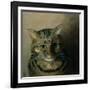 A Head Study of a Tabby Cat-Louis Wain-Framed Giclee Print