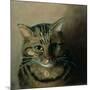 A Head Study of a Tabby Cat-Louis Wain-Mounted Giclee Print