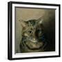 A Head Study of a Tabby Cat-Louis Wain-Framed Giclee Print