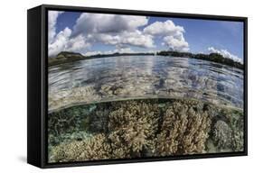 A Healthy Coral Reef Grows in the Solomon Islands-Stocktrek Images-Framed Stretched Canvas