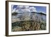 A Healthy Coral Reef Grows in the Solomon Islands-Stocktrek Images-Framed Photographic Print