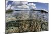 A Healthy Coral Reef Grows in the Solomon Islands-Stocktrek Images-Mounted Photographic Print