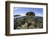 A Healthy Coral Reef Grows in the Solomon Islands-Stocktrek Images-Framed Photographic Print