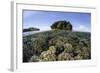 A Healthy Coral Reef Grows in the Solomon Islands-Stocktrek Images-Framed Photographic Print