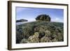 A Healthy Coral Reef Grows in the Solomon Islands-Stocktrek Images-Framed Photographic Print