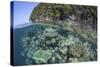 A Healthy Coral Reef Grows Near Limestone Islands in Raja Ampat-Stocktrek Images-Stretched Canvas