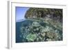 A Healthy Coral Reef Grows Near Limestone Islands in Raja Ampat-Stocktrek Images-Framed Photographic Print