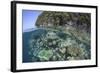 A Healthy Coral Reef Grows Near Limestone Islands in Raja Ampat-Stocktrek Images-Framed Photographic Print