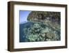 A Healthy Coral Reef Grows Near Limestone Islands in Raja Ampat-Stocktrek Images-Framed Photographic Print