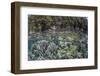 A Healthy Coral Reef Grows Near Limestone Islands in Raja Ampat-Stocktrek Images-Framed Photographic Print