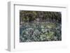 A Healthy Coral Reef Grows Near Limestone Islands in Raja Ampat-Stocktrek Images-Framed Photographic Print