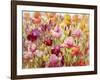 A Healthy Obsession-Nel Whatmore-Framed Art Print
