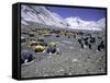 A Heard of Yaks and Tents, Nepal-Michael Brown-Framed Stretched Canvas