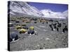A Heard of Yaks and Tents, Nepal-Michael Brown-Stretched Canvas