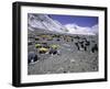 A Heard of Yaks and Tents, Nepal-Michael Brown-Framed Premium Photographic Print