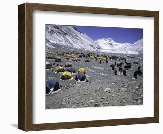 A Heard of Yaks and Tents, Nepal-Michael Brown-Framed Photographic Print