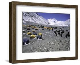 A Heard of Yaks and Tents, Nepal-Michael Brown-Framed Photographic Print